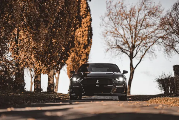 SuperNopea Kasyno Aplikacja Android/iOS